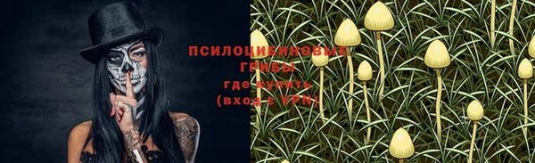 круглые Корсаков