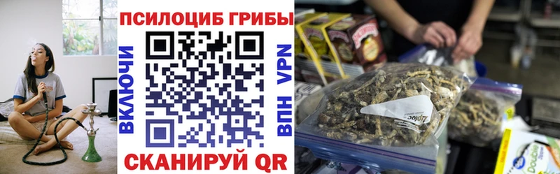 Псилоцибиновые грибы мицелий Пестово